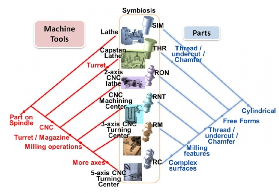 Un camaleón en el taller