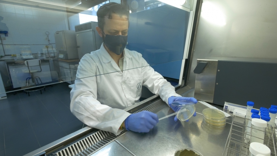 GO Orleans convertirá el suero en recubrimientos que alargarán la vida del queso entre un 25% y un 50%