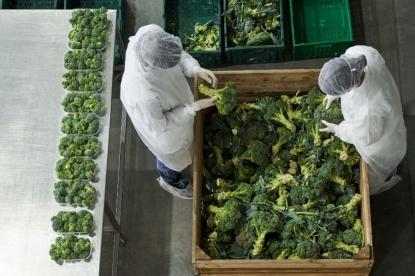 Enac, encargada de acreditar a las entidades que certifican esquemas reconocidos por GFSI