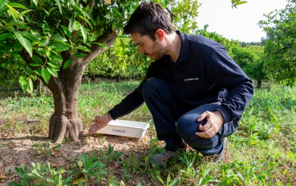 El proyecto Cítric-SÀ reducirá el impacto negativo por el uso de fitosanitarios químicos