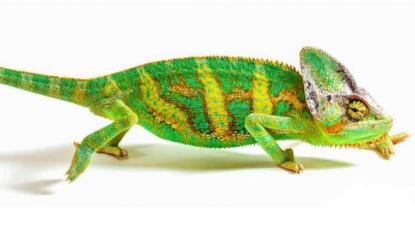 Lubricante refrigerante rhenus TU 446, para una máxima flexibilidad