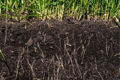 Enac concede al laboratorio Intra Radice la acreditación para realizar el análisis de micorrizas