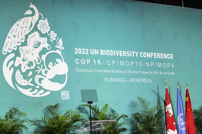 Una conferencia sobre biodiversidad de ISO en la COP15 hace un llamamiento para la adopción de normas