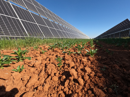 Dos plantas solares de Enel Green Power España obtienen el Sello de Excelencia para la Sostenibilidad