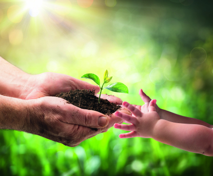 oelheld contribuye de manera importante a la protección del medio ambiente