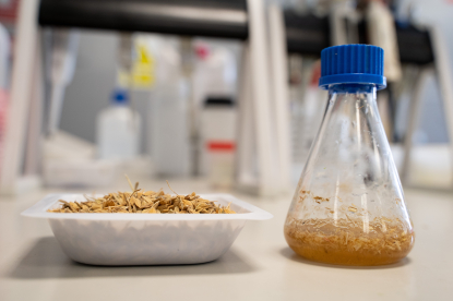 Itene desarrolla procesos biotecnológicos de valorización de residuos y subproductos agroalimentarios