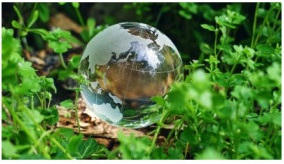 Incluyen a NSK en la lista de “Líderes en Cambio Climático”