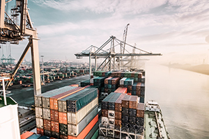 Los casquillos de fricción de Schaeffler ofrecen una fiabilidad inquebrantable