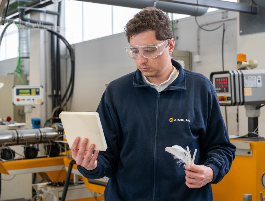 Aimplas transforma residuos de plumas de ave en espumas para cultivos hidropónicos sostenibles