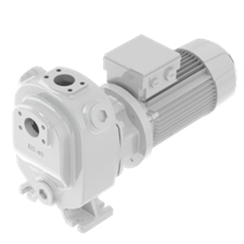 Bombas centrífugas de bloque serie BS de Knoll