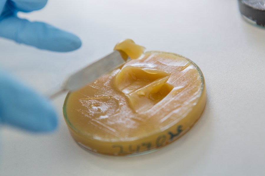 Rhenus Lub obtiene la etiqueta ecológica de la UE (EEL) para el lubricante biológico de alto rendimiento rhenus LAE 2