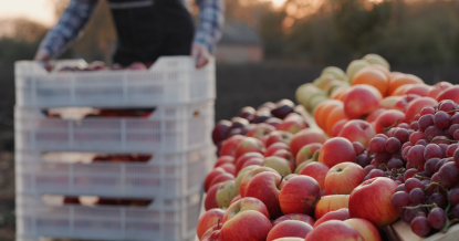 Itene estudiará los riesgos del transporte por carretera de productos hortofrutícolas y baterías