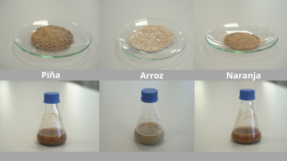 Itene desarrolla procesos biotecnológicos de valorización de residuos y subproductos agroalimentarios
