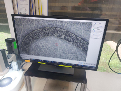 Digicel 4.0 investiga una nueva metodología y software de análisis de espumas poliméricas