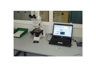 Máquinas e instalaciones para diferentes tratamientos superficiales