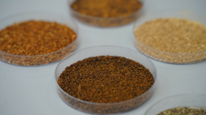 Itene desarrolla procesos biotecnológicos para obtener materias primas sostenibles