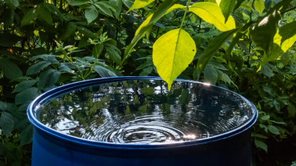 El Reglamento de reutilización del agua incorpora la acreditación para un control efectivo