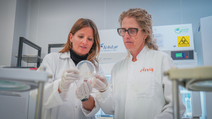 El proyecto Eldrin busca desarrollar nuevas formas de extraer celulosa de la biomasa vegetal