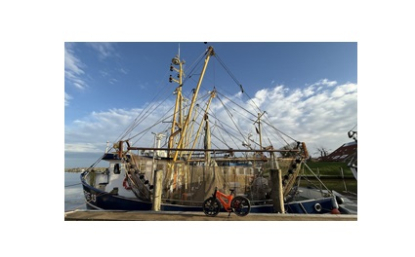 La gira mundial de la bicicleta de polímero igus:bike sigue completando etapas