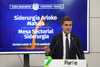 La Mesa Sectorial de Siderurgia coordina una respuesta conjunta del Gobierno Vasco y empresas
