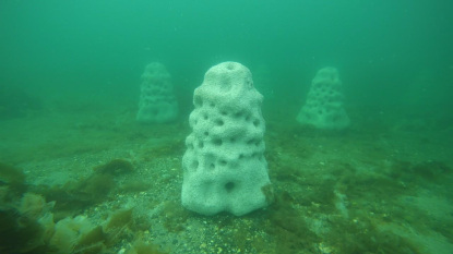 El proyecto europeo Ocean Citizen instala 30 arrecifes Elnida-rif® en el fiordo de Porsanger