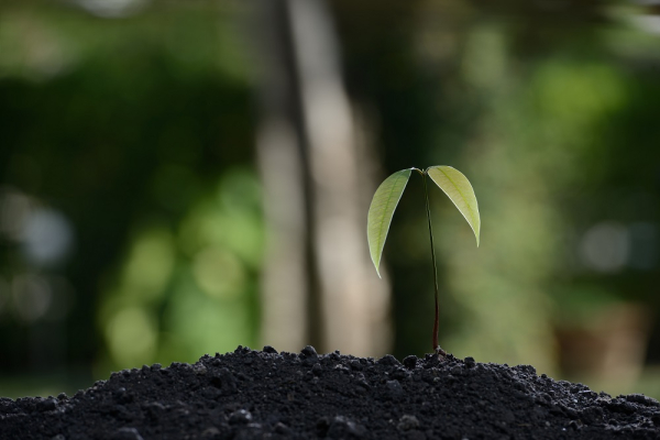 IFS cree que deben adoptarse medidas para hacer frente al reto de la normativa sobre huella de carbono