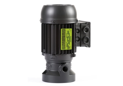 Bombas eléctricas con un caudal de 7 l/min para el trasvase de líquidos limpios con impurezas