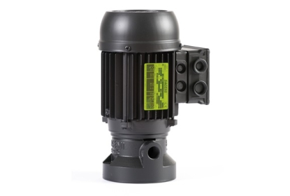 Bombas eléctricas con un caudal de 13 l/min para el trasvase de líquidos limpios con impurezas