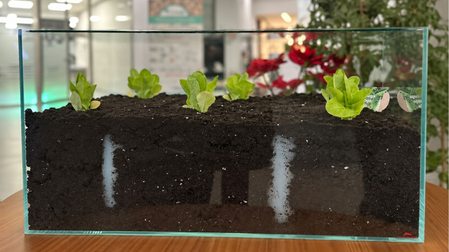 Aimplas desarrolla agua sólida, una alternativa biodegradable para mantener las plantas hidratadas durante las vacaciones