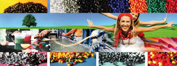 Su socio de calidad en termoplásticos técnicos y elastómeros